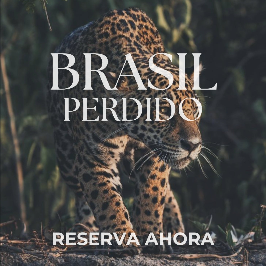 BRASIL