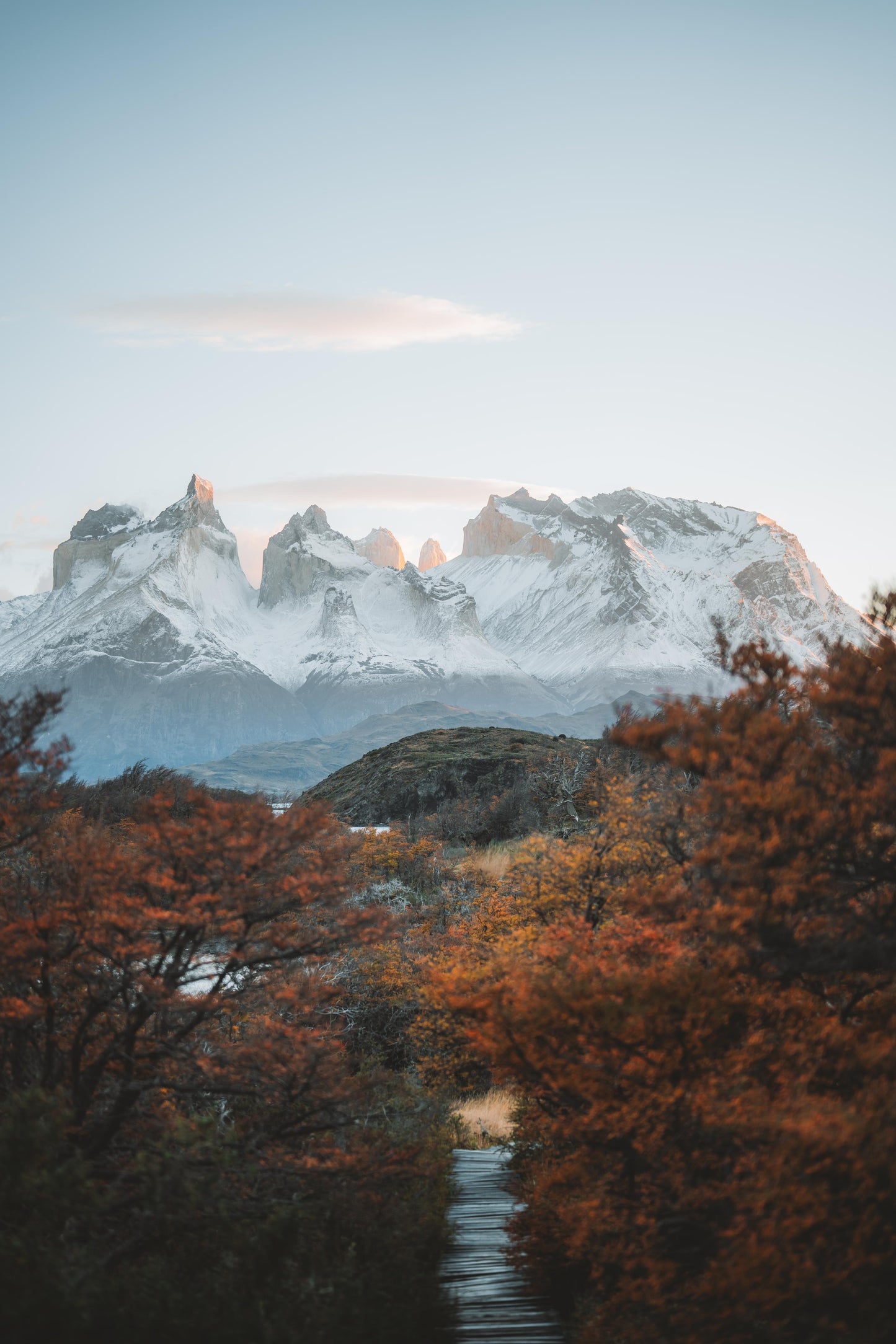 PATAGONIA