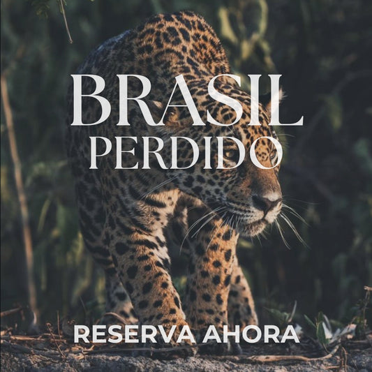 BRASIL